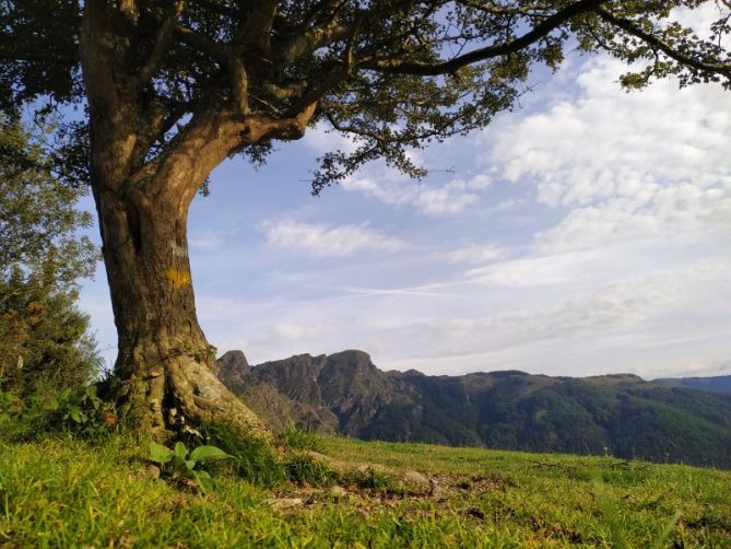 Resguardando las peñas: foto en Oiartzun