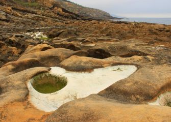 Algas y paramoudras.