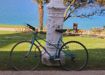 Un alto en el camino 