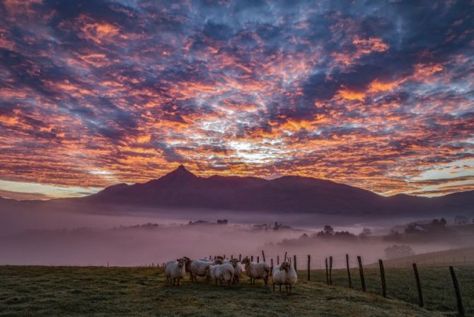 Aralar: foto en Lazkao