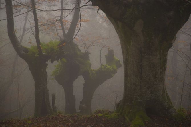 Arrate: foto en Eibar