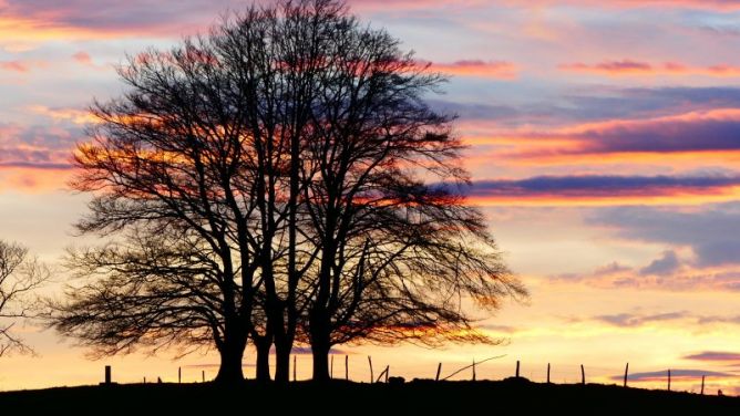 Atardecer: foto en Bergara