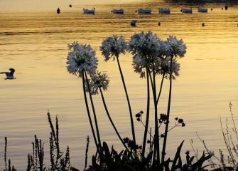 Atardecer en la bahía de Txingudi.
