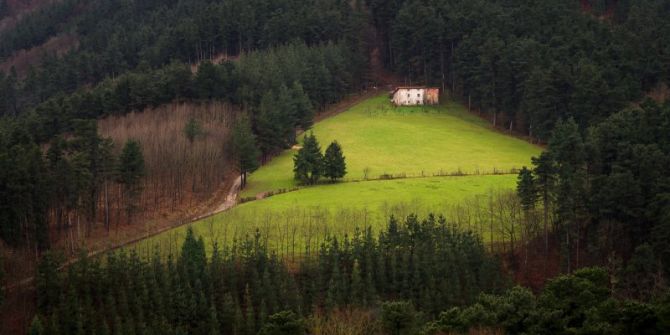 Baserria bere bakardadean: foto en Olaberria