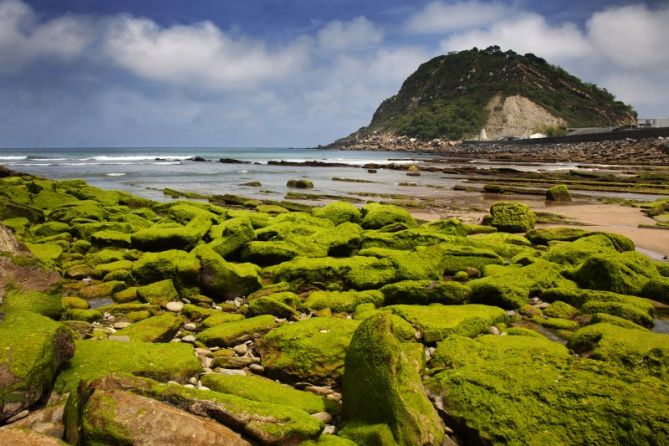 Berdea: foto en Getaria