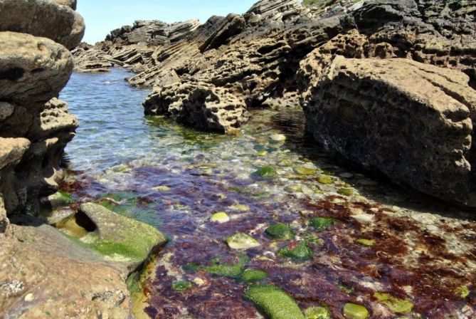 Berdea eta gorria: foto en Hondarribia