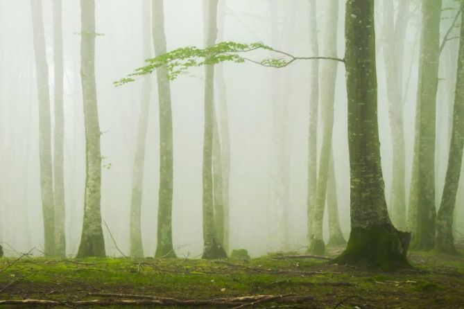 Beunda: foto en Zegama