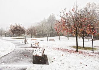 Blanco Otoño