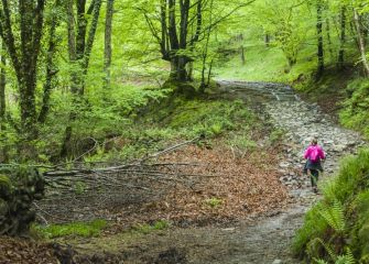 Camino de Uzturre