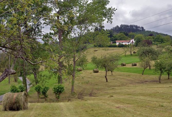 El campo ya recogido: foto en Hernani