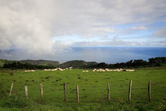 Contando nubes en Jaizkibel: foto en Hondarribia