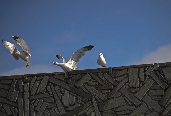 Defendiendo: foto en Donostia-San Sebastián