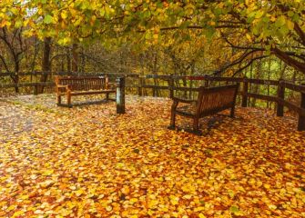 Dialogo otoñal entrebancos