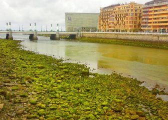 Donosti: Ciudad verde