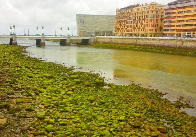 Donosti: Ciudad verde: foto en Donostia-San Sebastián