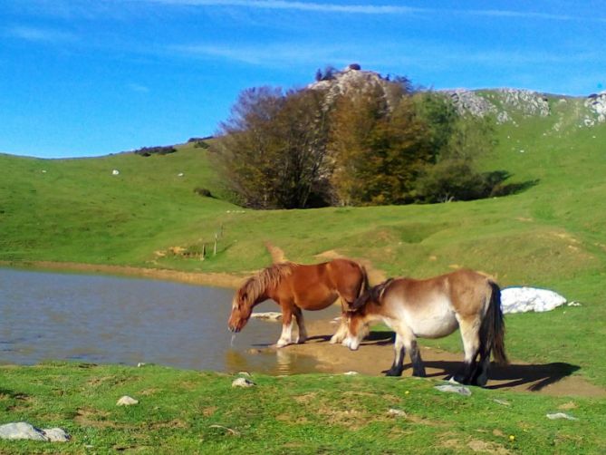 EGARRITUTA: foto en Azpeitia