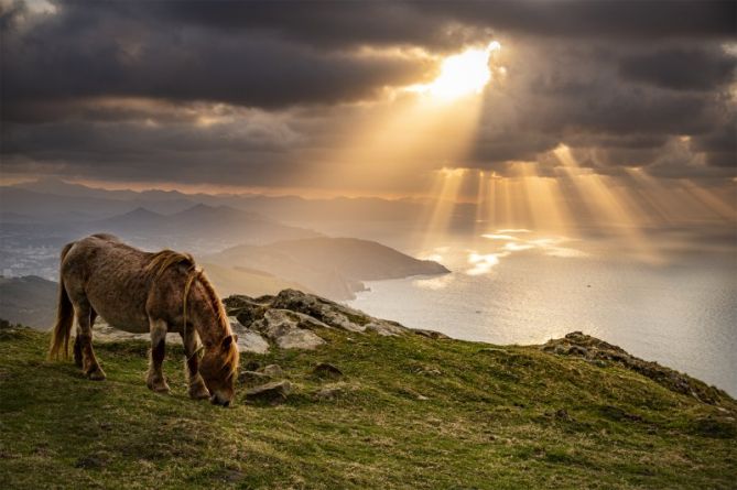 El elegido: foto en Hondarribia