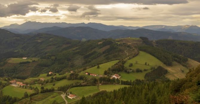 Elosua: foto en Bergara