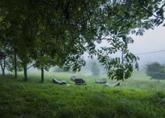 Entre la niebla