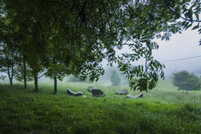 Entre la niebla: foto en Astigarraga