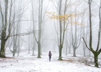 Entre otoño e invierno.