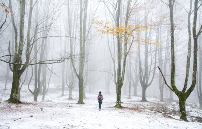 Entre otoño e invierno.: foto en Oñati