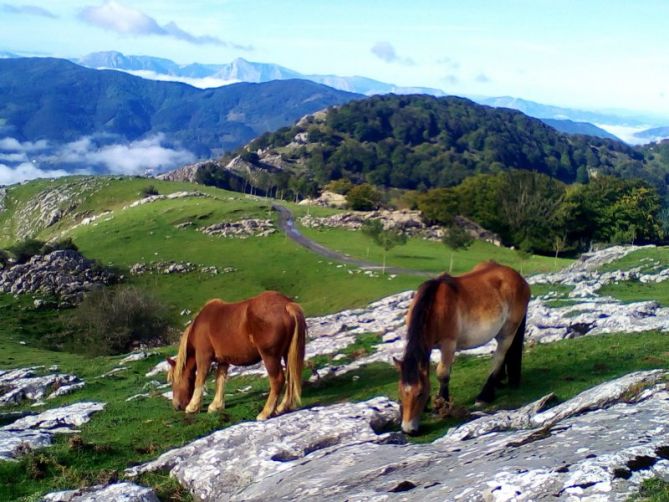 ERLO: foto en Azpeitia