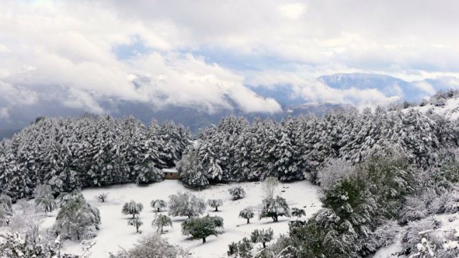 Estampa Invernal : foto en Oñati