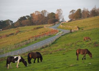 estampa de nuestras laderas