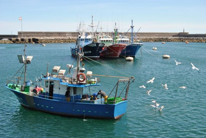 Eta kaioak atzetik: foto en Hondarribia