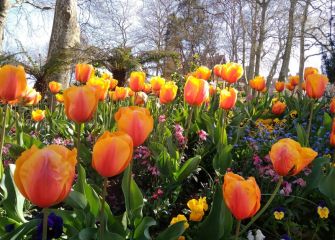 Explosión de color.