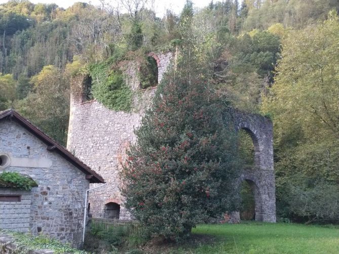 Fagollaga: foto en Hernani