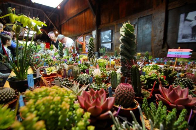 Feria de las plantas: foto en Aia