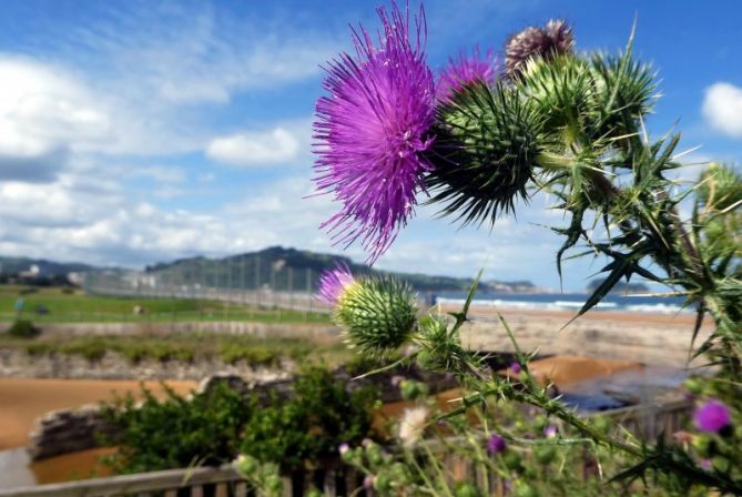 Fin de verano: foto en Zarautz