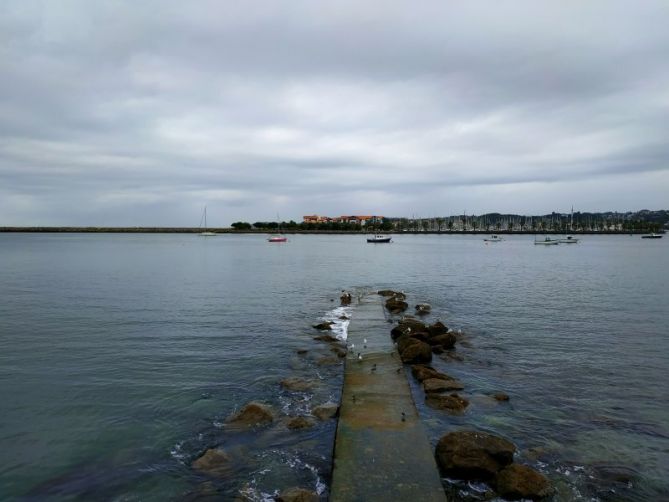 Gaviotas al acecho: foto en Hondarribia