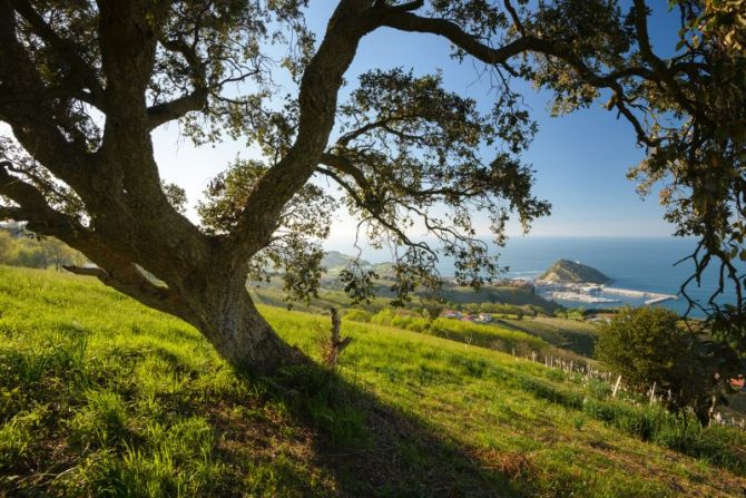 Getaria gainean: foto en Getaria