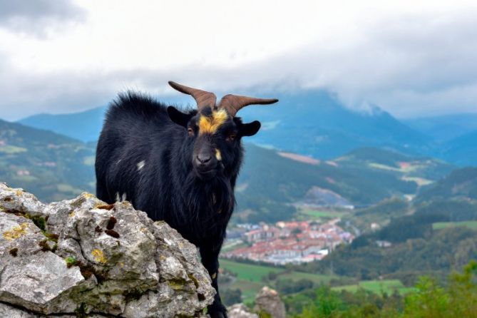 Guía de montaña : foto en Aretxabaleta