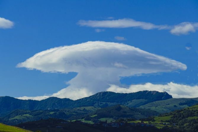 Un hongo en Ernio : foto en Zarautz