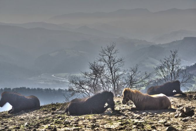 Igeldo: foto en Donostia-San Sebastián