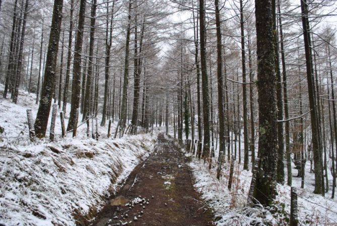 Invierno: foto en Tolosa