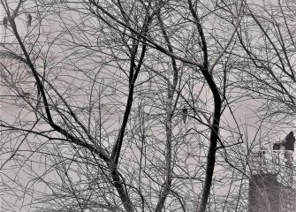 El Invierno de la Concha