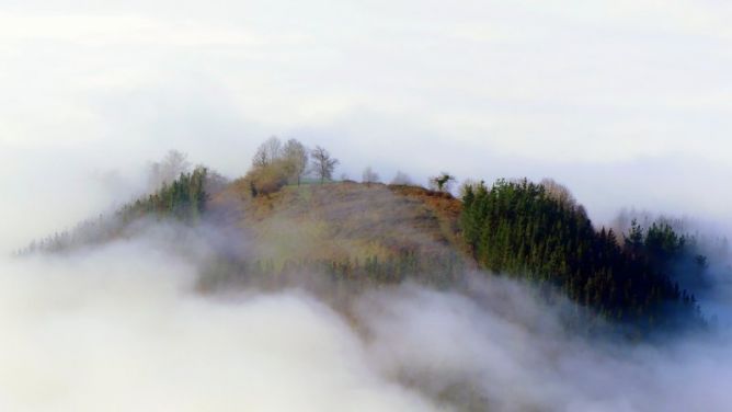 La isla: foto en Bergara