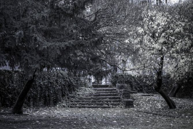 Jardín de la Millonetis: foto en Hondarribia