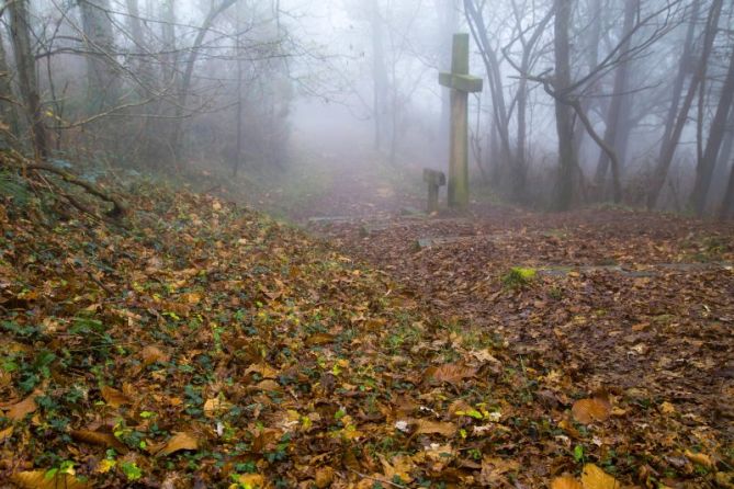 Lanbroa I: foto en Hondarribia