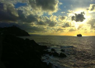 Lucha por reaparecer