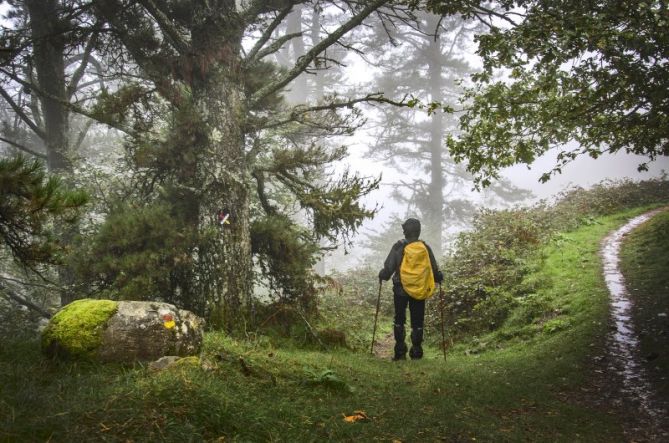 Mañana húmeda en la montaña.: foto en Elgoibar