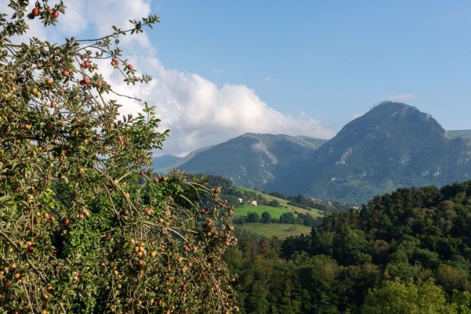 Manzanas del Goierri: foto en Baliarrain