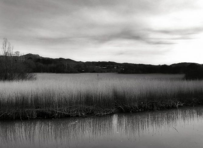 Marisma B/N: foto en Hondarribia