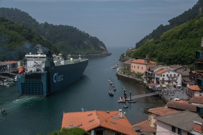 Mounstro marino: foto en Pasaia