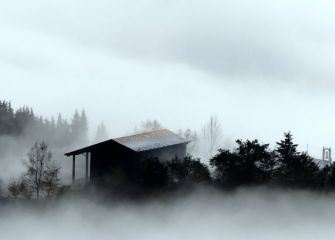 Niebla I